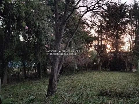 Terreno en Venta 12  mts Frente