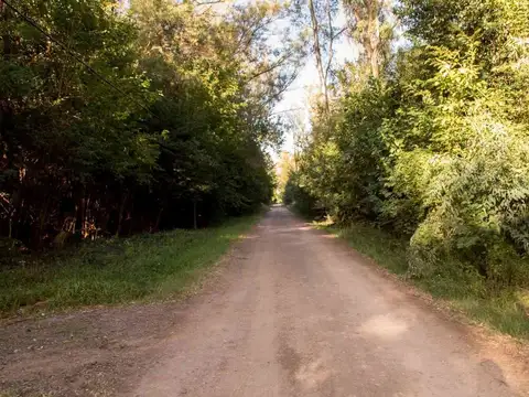 Terreno en Venta en Parada Robles, USD 58.000