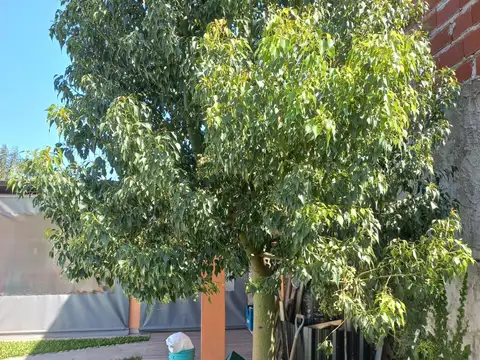 Casa en Venta en Granadero Baigorria, USD 43.000