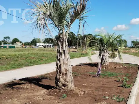 Terreno en Venta en Countries y Barrios Cerrados en Esteban Echeverria, USD 42.000