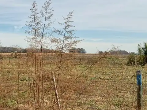 CALLE 7 ENTRE 20 Y 22