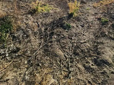 Terreno en Venta de 10000,0 m2