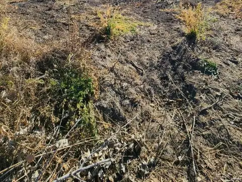 Terreno en Venta en Santa Rosa, USD 8.000