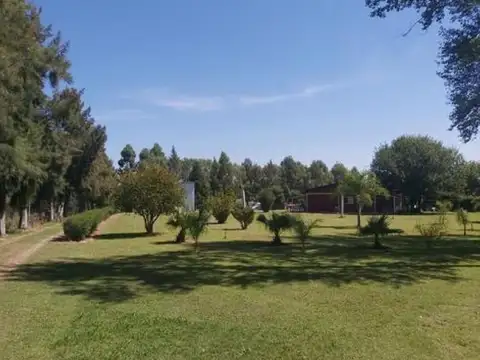 Campo en venta - 18.600Mts2 - Abasto