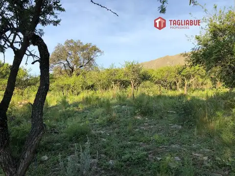 Terreno en Venta en Merlo, USD 30.000