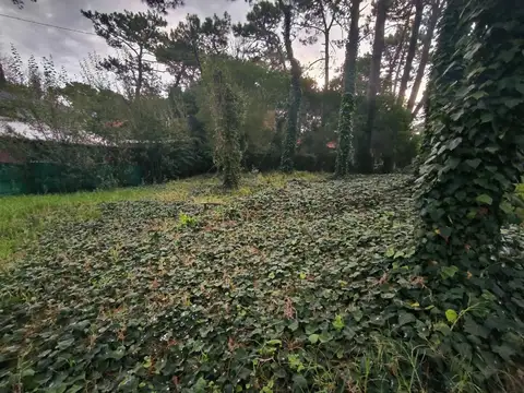 Terreno en Venta de 442,0 m2