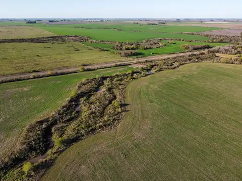Campo en Venta Agricola