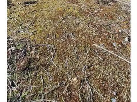 Terreno en Venta de 1800,0 m2