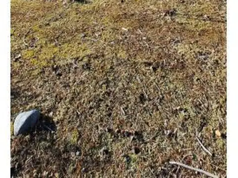 Terreno en Venta en Lago Puelo, USD 53.000