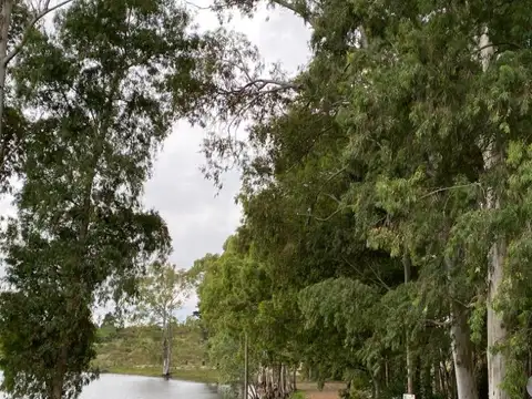 Lomas de punta gorda