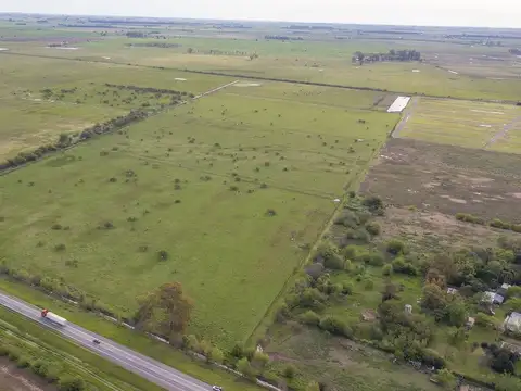 CAMPO 32 HECTAREAS EN VENTA - ALVEAR