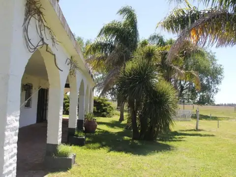 Campo - San Miguel Del Monte