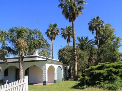 Campo - San Miguel Del Monte
