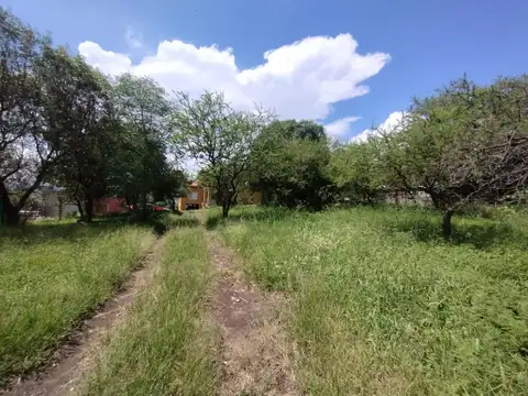 TIERRALTA LOTE PLANO en venta! LOTE 7 MACROLOTE 7