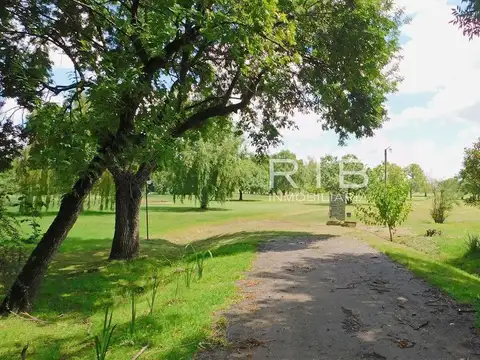 Casa en Alquiler de 3 dormitorios