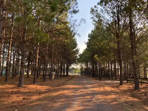 Terreno en Venta en La Macarena, USD 180.000