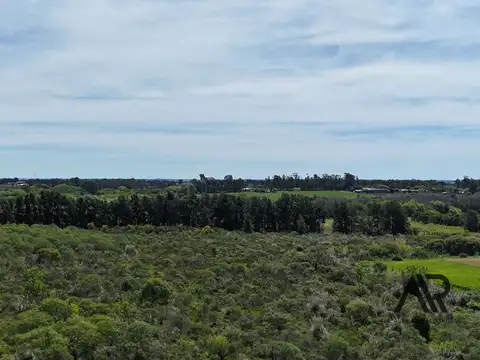 Terreno en venta de 27000m2 ubicado en Las Piedras