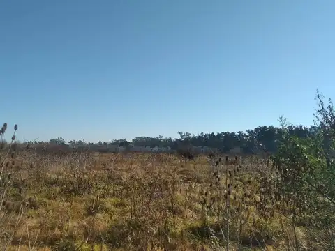 Oportunidad inversor campo en venta en Pilar sobre la calle Guido