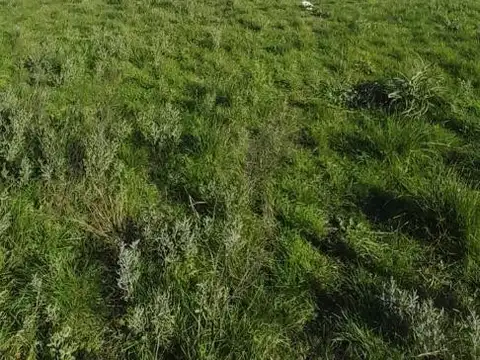 Terreno en Venta de 800,0 m2