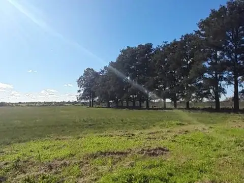 Terreno en Venta de 800,0 m2