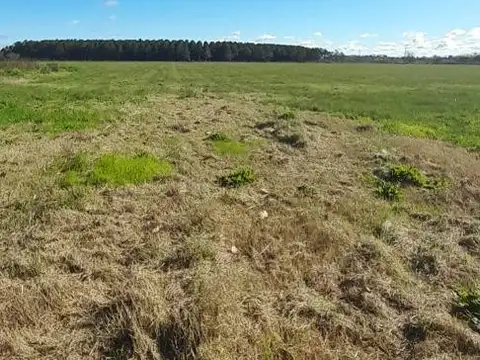 NUEVO BARRIO PRIVADO PASEO DEL SOL 