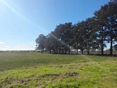 Terreno en Venta en Marcos Paz, USD 14.000