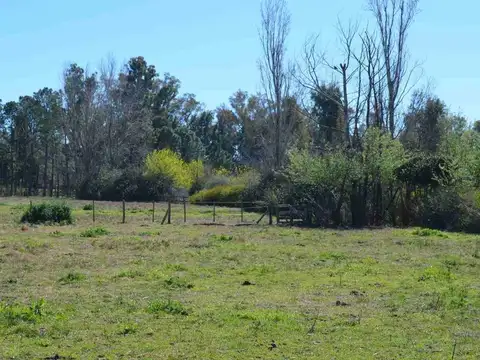 Venta lote 2,5 ha Haras Argentino Farm Club, Lujan