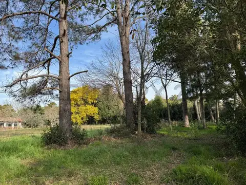 Lote arbolado de 2098 m² en excelente ubicación 635 y 133 – Berisso