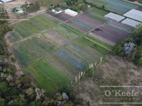 Chacra en  venta 1.8 has en Abasto