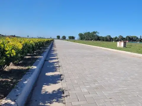 Terreno en Venta en Alvear, USD 30.000