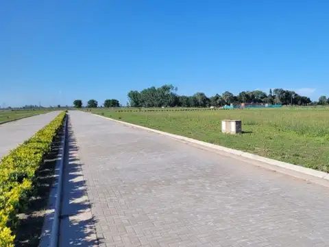 LOTEO  ALVEAR CASA Y CONDO CLUB