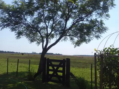 Campo a la venta en San Andres de Giles