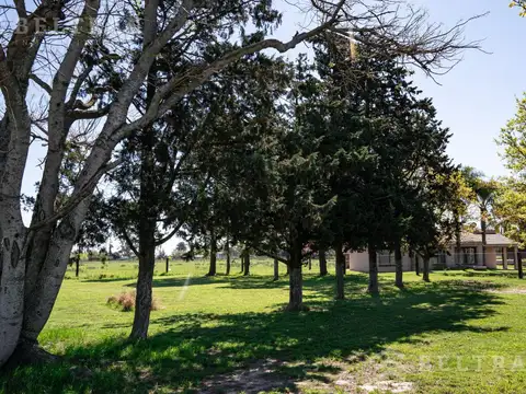 Los Pinos 3. Barrio Abierto