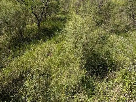 Chacra en Gualeguaychu