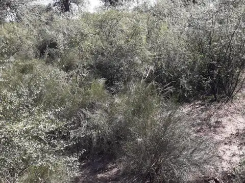 Capilla del Monte 5100