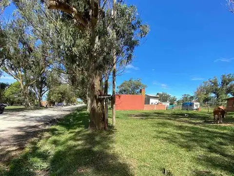 Avenida José de San Martín y Manuel Belgrano