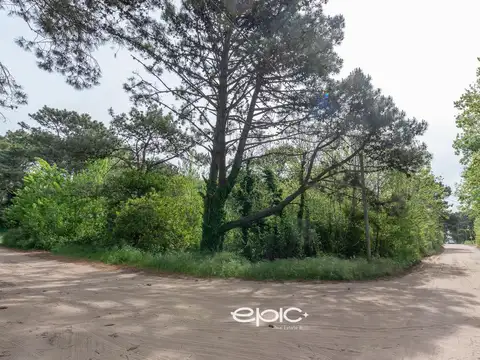 En Las Gaviotas lotes en venta individual o en block