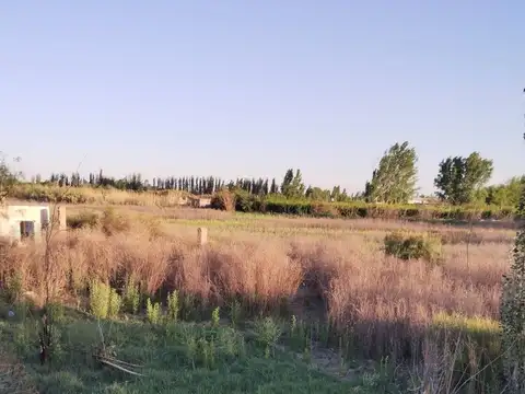 Lote en Venta en Guaymallen 2 hectáreas