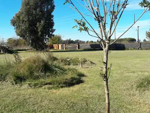 G. Casey  y Alicia Moreau de