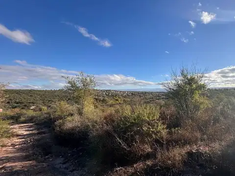 Taymi s/n° Mz 311 Lote 4