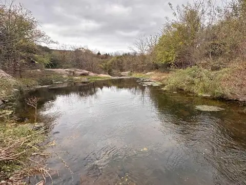 Taymi s/n° Mz 311 Lote 4