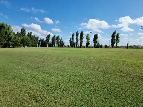 Terreno en Venta de 800,0 m2