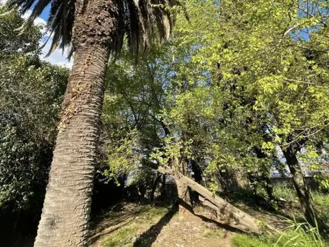 TERRENO EN VENTA EN EXCELENTE UBICACION - GUERNICA CENTRO