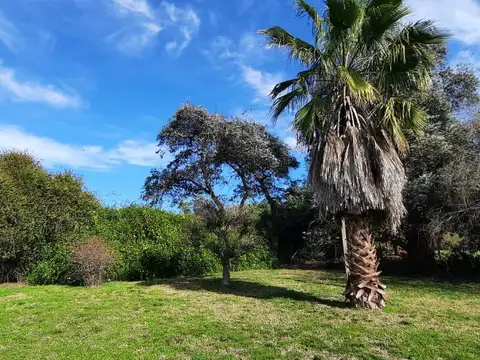 Bv. Doctor Domingo Cabred 1500