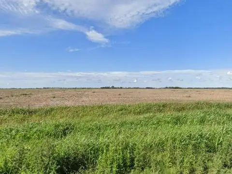 Ruta Provincial 2 - KM 195