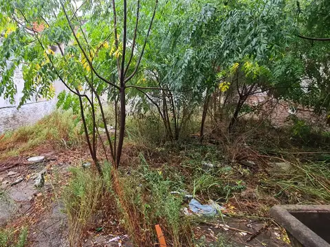 Nuestra Sra De La Merced 5000