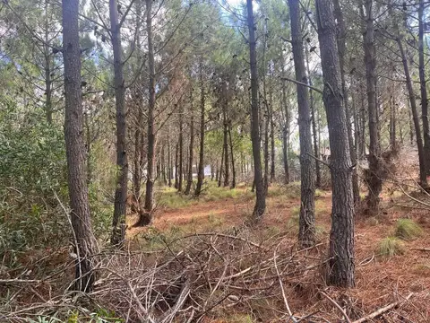 Marítimo IV - Costa Esmeralda