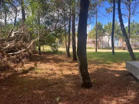 Terreno en Venta de 1123,0 m2