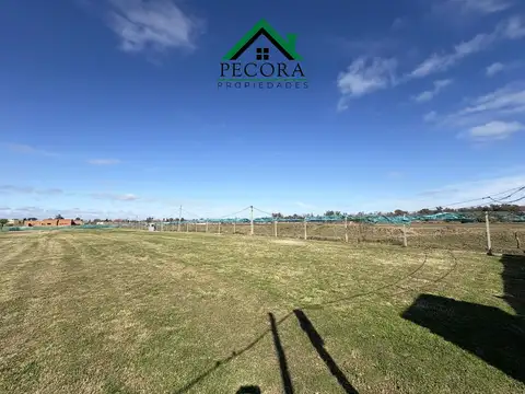 El ensueño - Lote 93