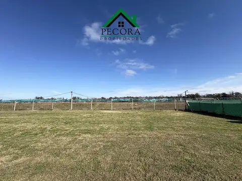 El ensueño - Lote 93